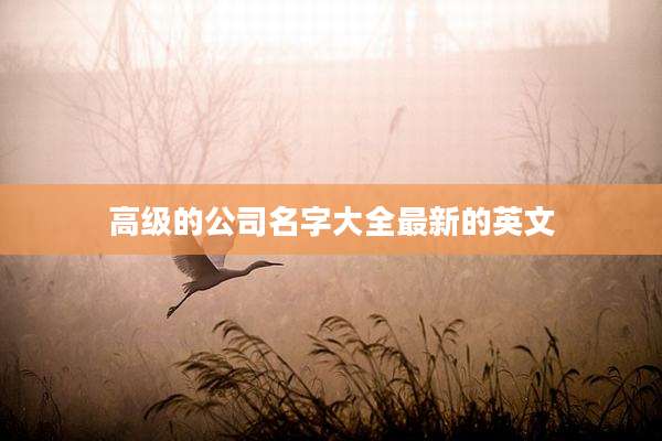 高级的公司名字大全最新的英文