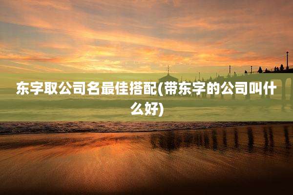 东字取公司名最佳搭配(带东字的公司叫什么好)