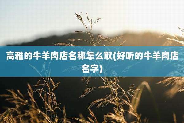 高雅的牛羊肉店名称怎么取(好听的牛羊肉店名字)