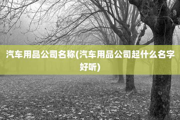 汽车用品公司名称(汽车用品公司起什么名字好听)