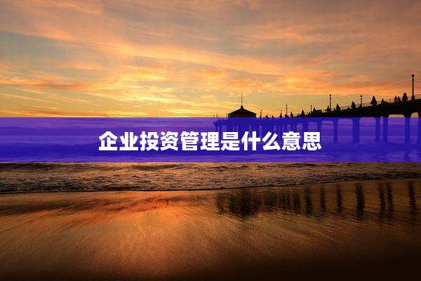企业投资管理是什么意思