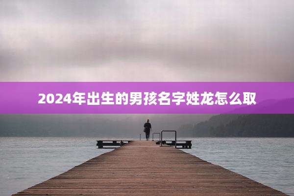 2024年出生的男孩名字姓龙怎么取