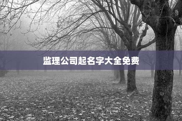 监理公司起名字大全免费