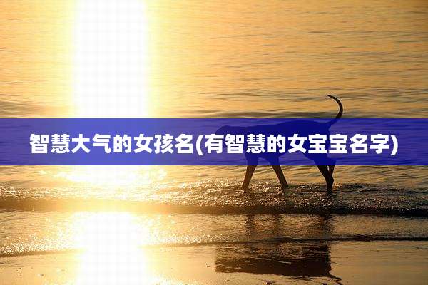 智慧大气的女孩名(有智慧的女宝宝名字)