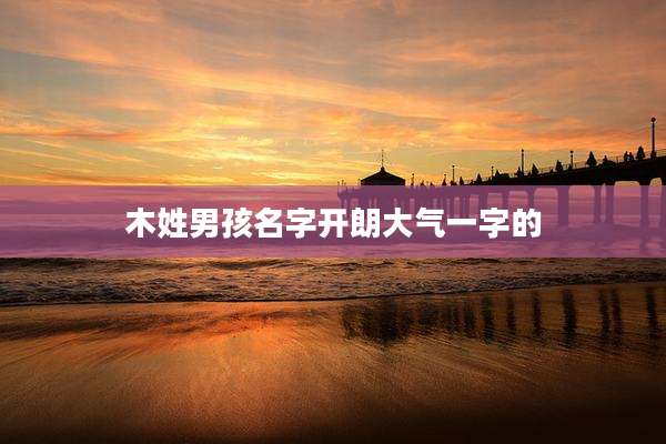 木姓男孩名字开朗大气一字的
