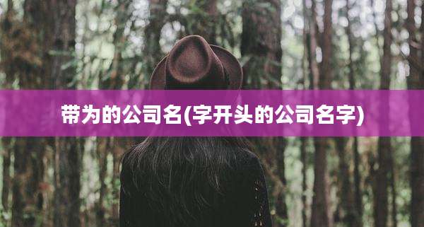 带为的公司名(字开头的公司名字)