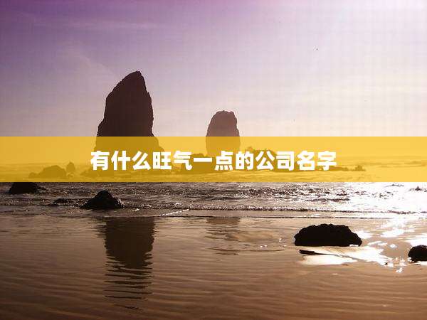 有什么旺气一点的公司名字