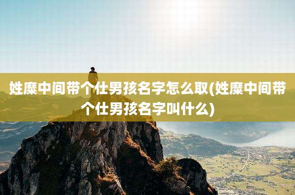 姓糜中间带个仕男孩名字怎么取(姓糜中间带个仕男孩名字叫什么)