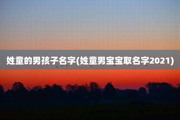姓童的男孩子名字(姓童男宝宝取名字2021)