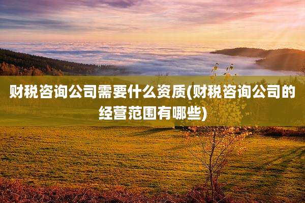财税咨询公司需要什么资质(财税咨询公司的经营范围有哪些)