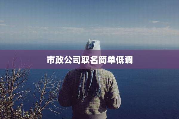 市政公司取名简单低调