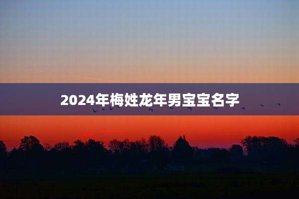 2024年梅姓龙年男宝宝名字