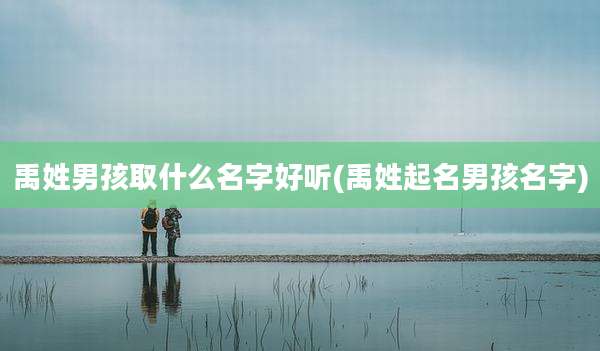 禹姓男孩取什么名字好听(禹姓起名男孩名字)