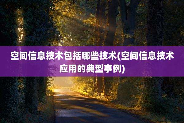 空间信息技术包括哪些技术(空间信息技术应用的典型事例)