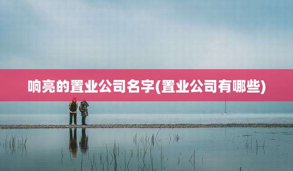 响亮的置业公司名字(置业公司有哪些)