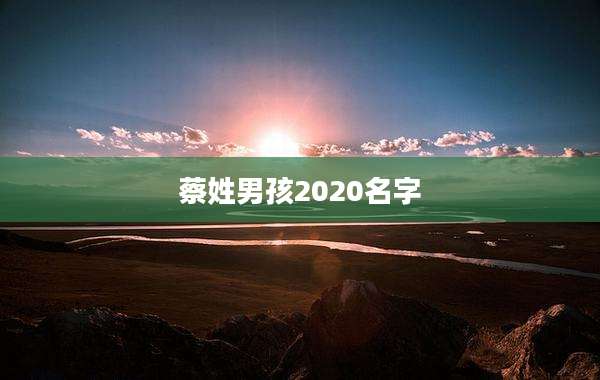 蔡姓男孩2020名字