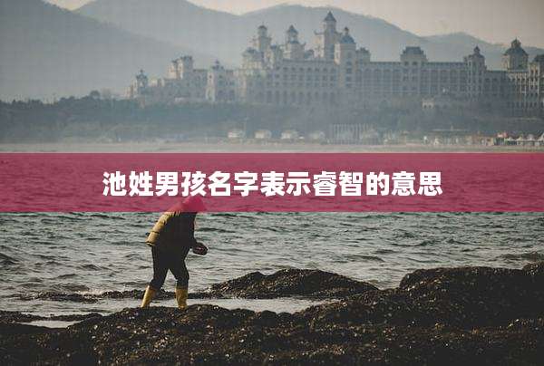 池姓男孩名字表示睿智的意思