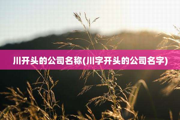 川开头的公司名称(川字开头的公司名字)