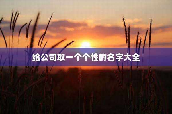 给公司取一个个性的名字大全