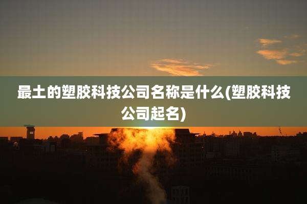 最土的塑胶科技公司名称是什么(塑胶科技公司起名)