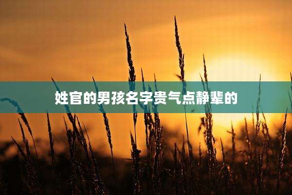 姓官的男孩名字贵气点静辈的