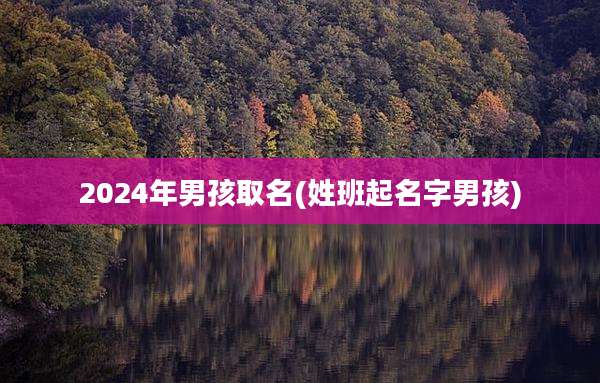2024年男孩取名(姓班起名字男孩)