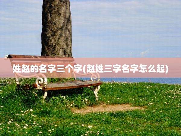姓赵的名字三个字(赵姓三字名字怎么起)