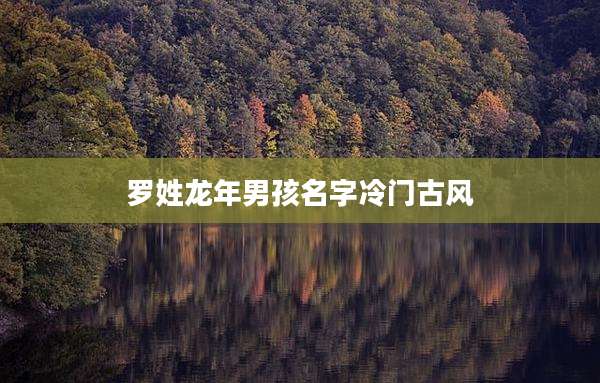罗姓龙年男孩名字冷门古风