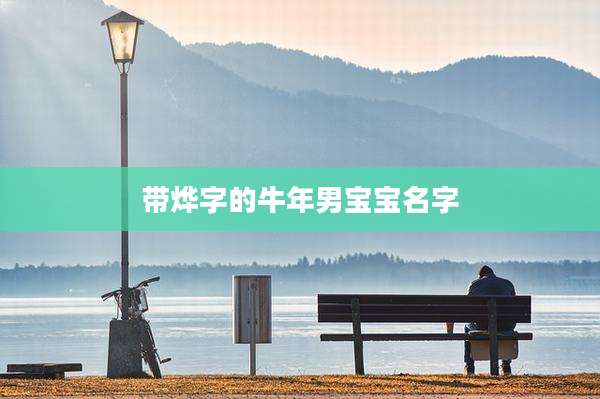 带烨字的牛年男宝宝名字