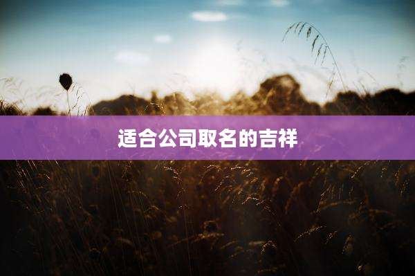 适合公司取名的吉祥