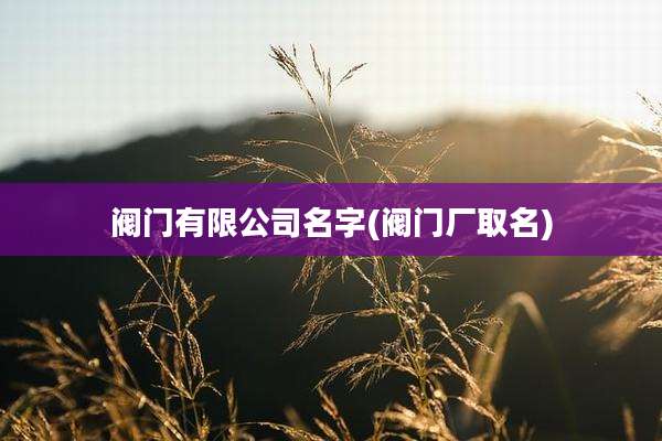 阀门有限公司名字(阀门厂取名)