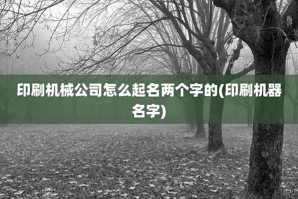 印刷机械公司怎么起名两个字的(印刷机器名字)