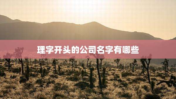 理字开头的公司名字有哪些
