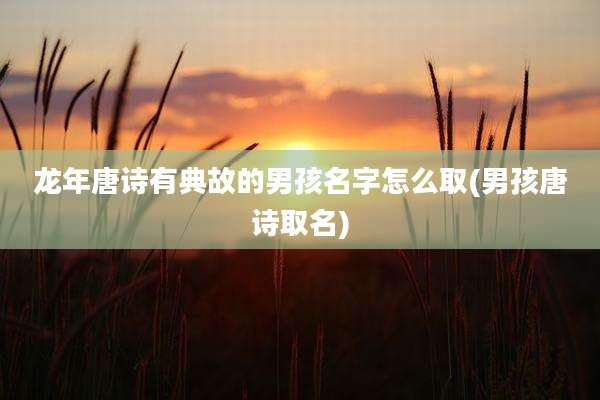 龙年唐诗有典故的男孩名字怎么取(男孩唐诗取名)