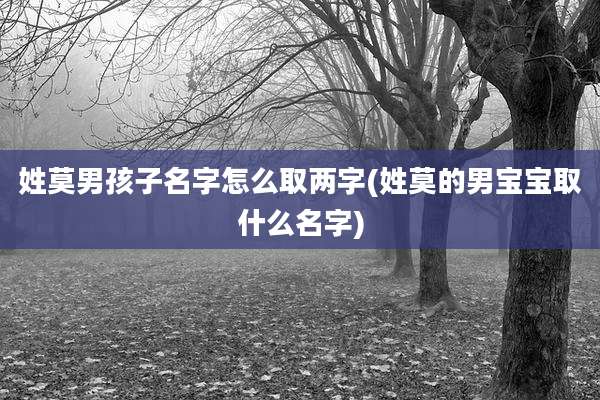姓莫男孩子名字怎么取两字(姓莫的男宝宝取什么名字)