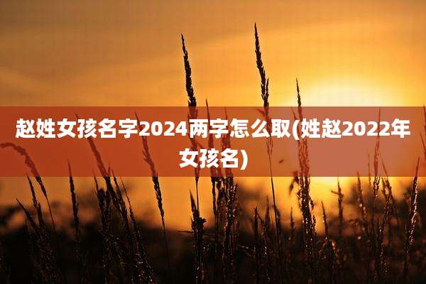 赵姓女孩名字2024两字怎么取(姓赵2022年女孩名)