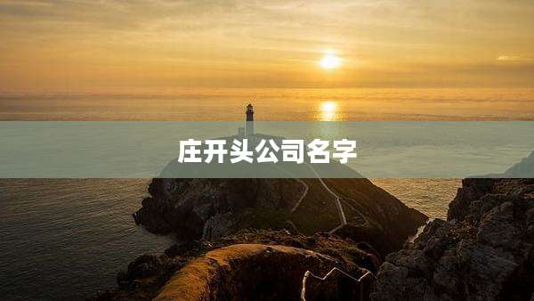 庄开头公司名字