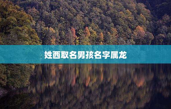 姓西取名男孩名字属龙