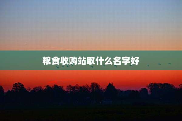 粮食收购站取什么名字好