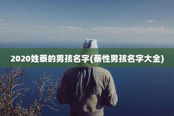 2020姓蔡的男孩名字(蔡性男孩名字大全)