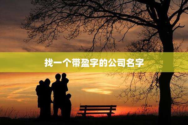 找一个带盈字的公司名字
