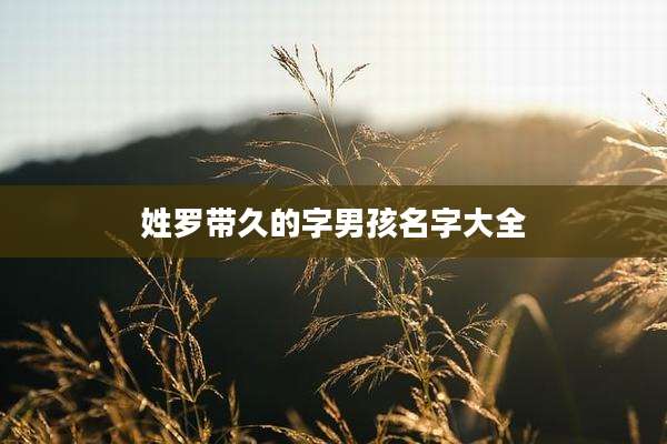 姓罗带久的字男孩名字大全