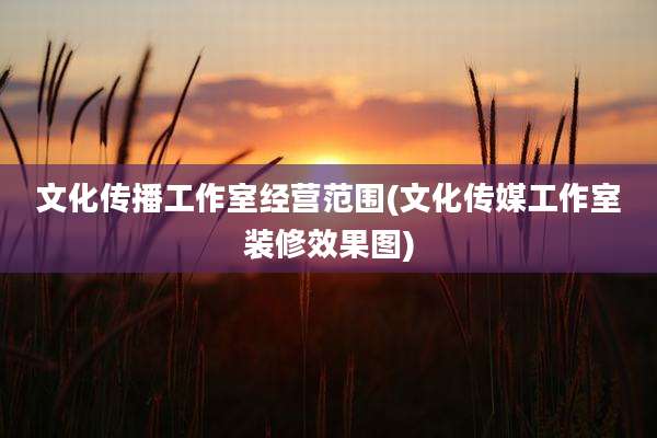 文化传播工作室经营范围(文化传媒工作室装修效果图)