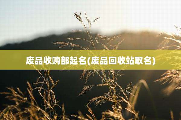 废品收购部起名(废品回收站取名)