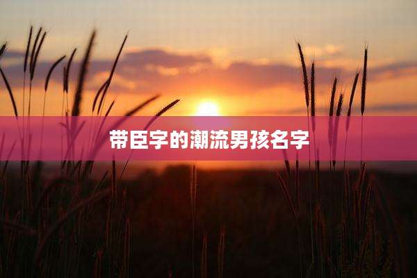 带臣字的潮流男孩名字
