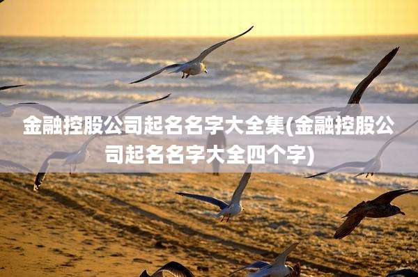 金融控股公司起名名字大全集(金融控股公司起名名字大全四个字)