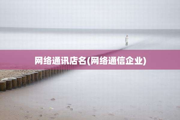 网络通讯店名(网络通信企业)