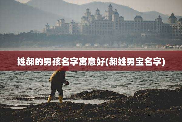 姓郝的男孩名字寓意好(郝姓男宝名字)