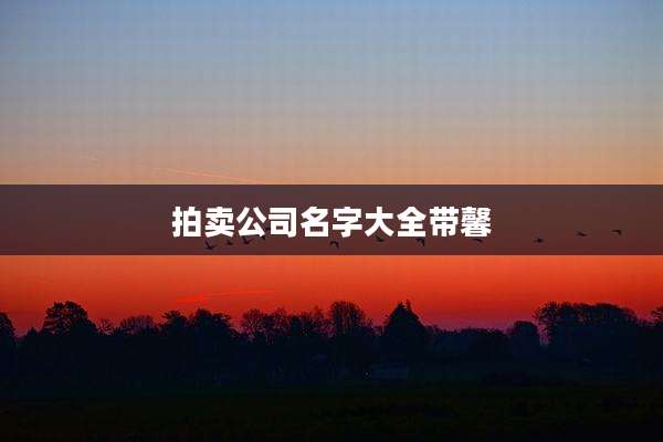 拍卖公司名字大全带馨