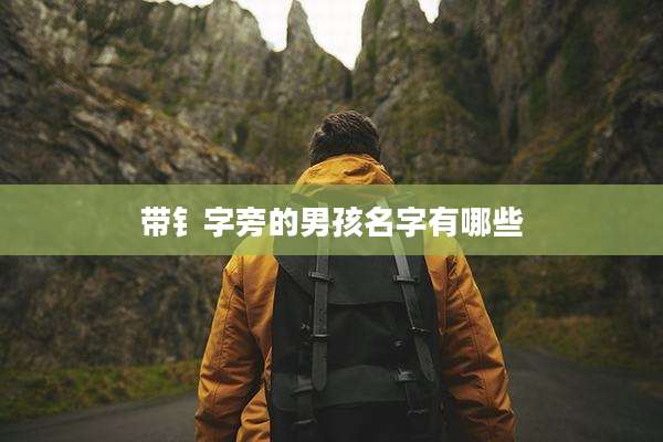 带钅字旁的男孩名字有哪些
